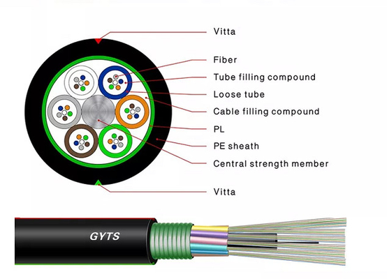Cavo a fibre ottiche corazzato GYTS 2 i 4 6 8 24 32 48 84 96 144 288 centri