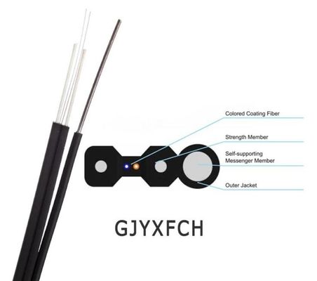Il centro 4 del singolo modo 2 svuota la figura dell'interno 8 cavo a fibre ottiche di FTTH