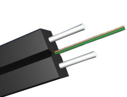 Lamella a fibra ottica di singolo modo dei 2 centri per FTTH